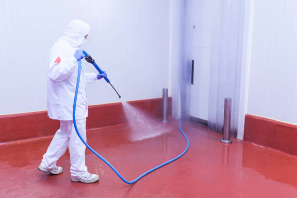 Best Driveway Pressure Washing  in Taft Heights, CA
